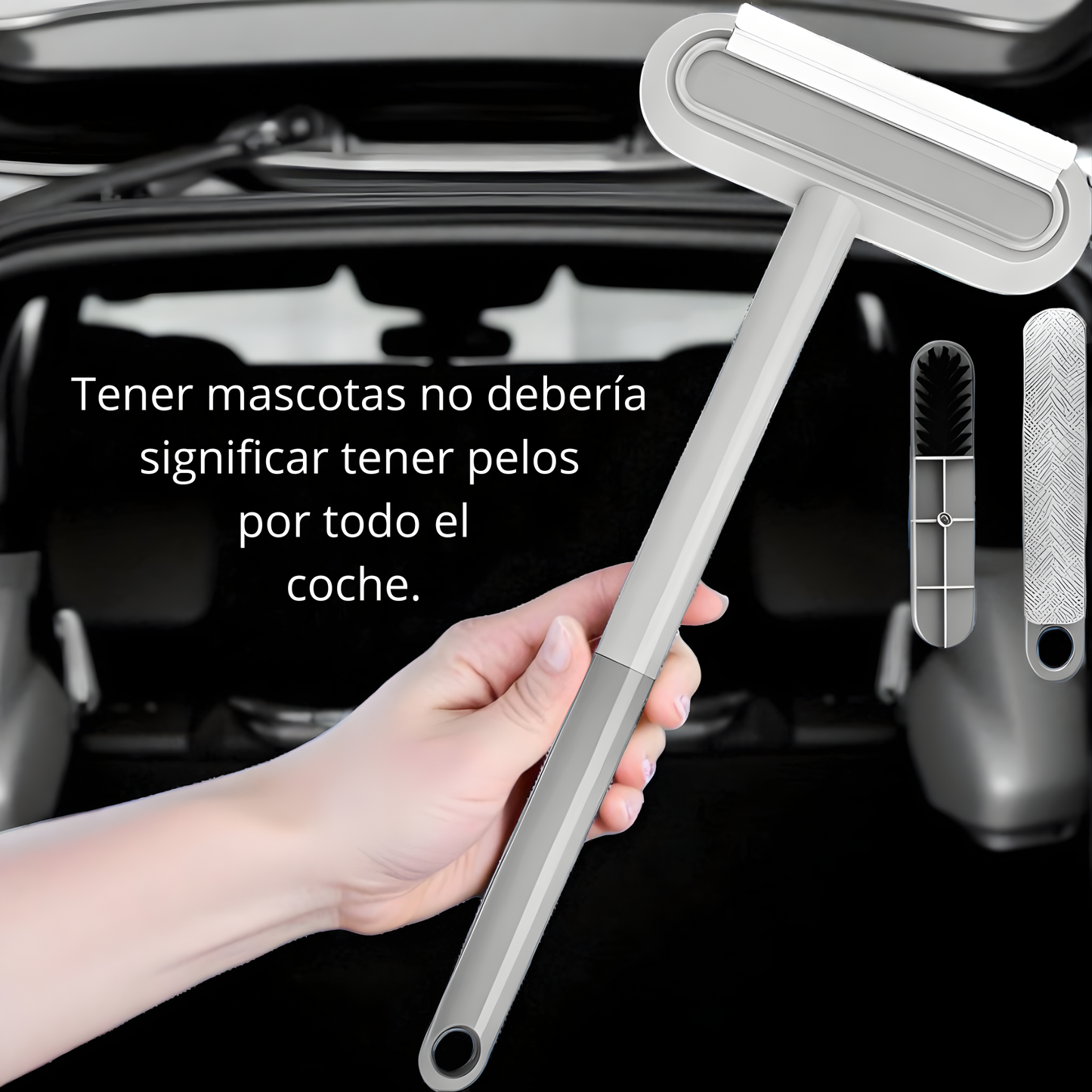 BrushUp